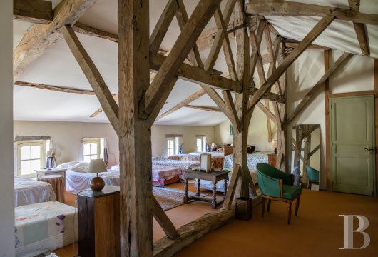 chateaux a vendre aquitaine   - 19