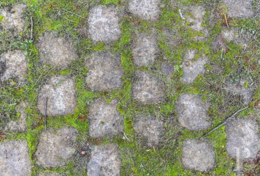 proprietes a vendre ile de france   - 10