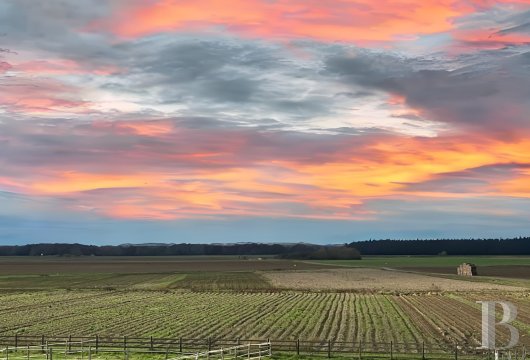 ile-de-france - À 55 km au sud de Paris et à 10 km au nord de Fontainebleau, une distillerie du 19e s. et son quai de chargement sur cour pavée