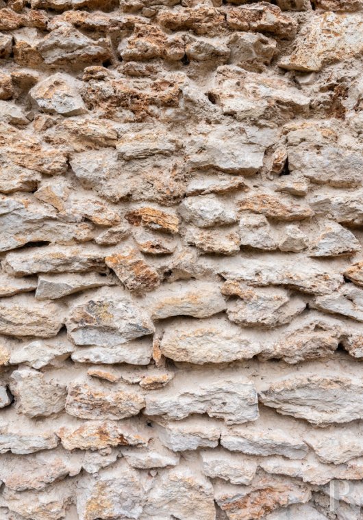 proprietes a vendre ile de france   - 9