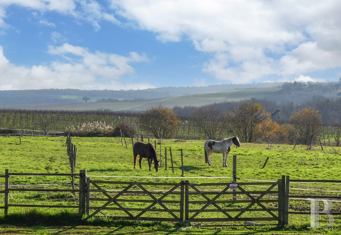 maisons de caractere a vendre aquitaine   - 17