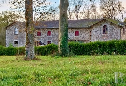 chateaux for sale France poitou charentes   - 16
