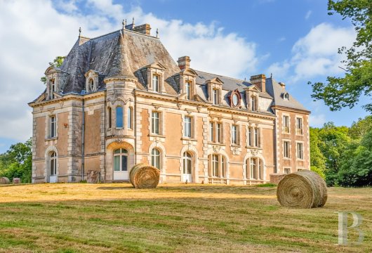poitou-charentes - A 19th-century chateau to be restored with large outbuildings and 12 hectares of grounds,  nestled in France’s Deux-Sèvres department by a river, not far from the Puy du Fou show park