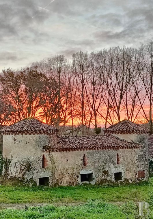 chateaux for sale France poitou charentes   - 14