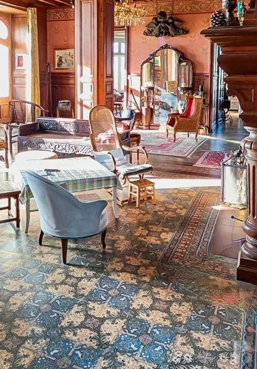 chateaux for sale France poitou charentes   - 8