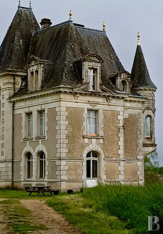 chateaux for sale France poitou charentes   - 3
