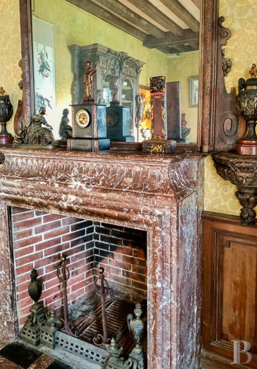 chateaux for sale France poitou charentes   - 11