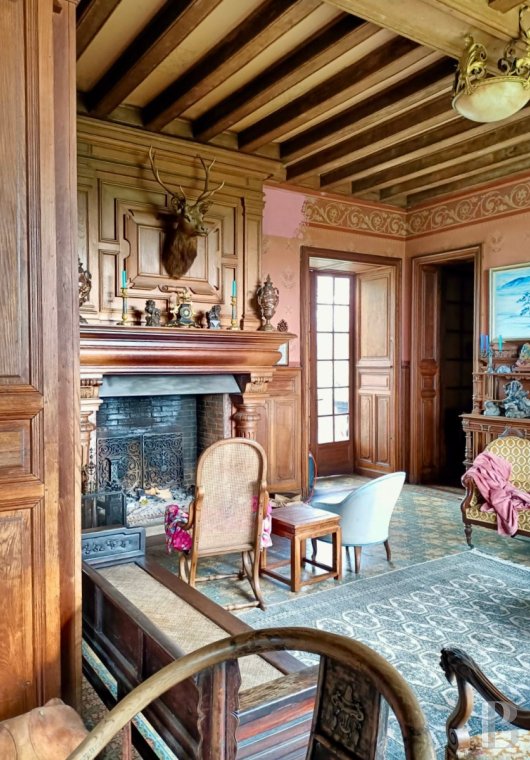 chateaux for sale France poitou charentes   - 6