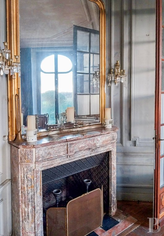 chateaux for sale France poitou charentes   - 12