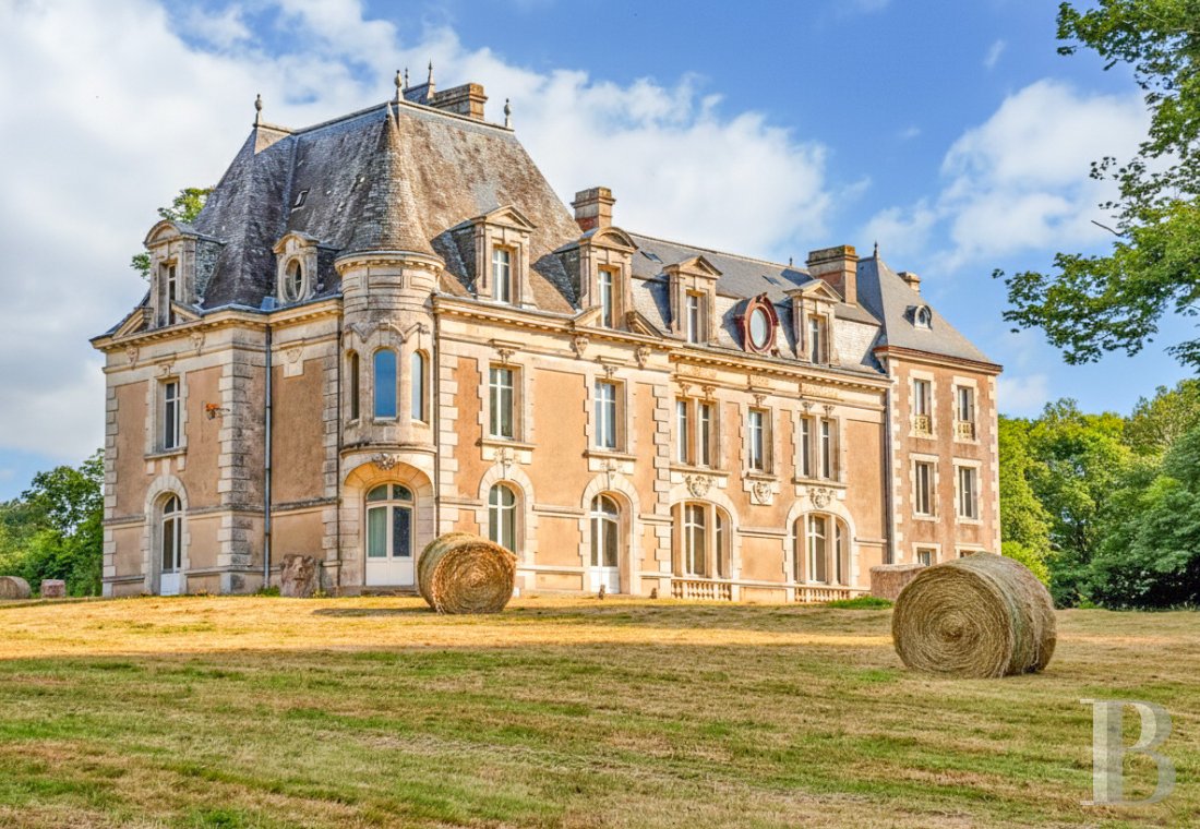 chateaux for sale France poitou charentes   - 1