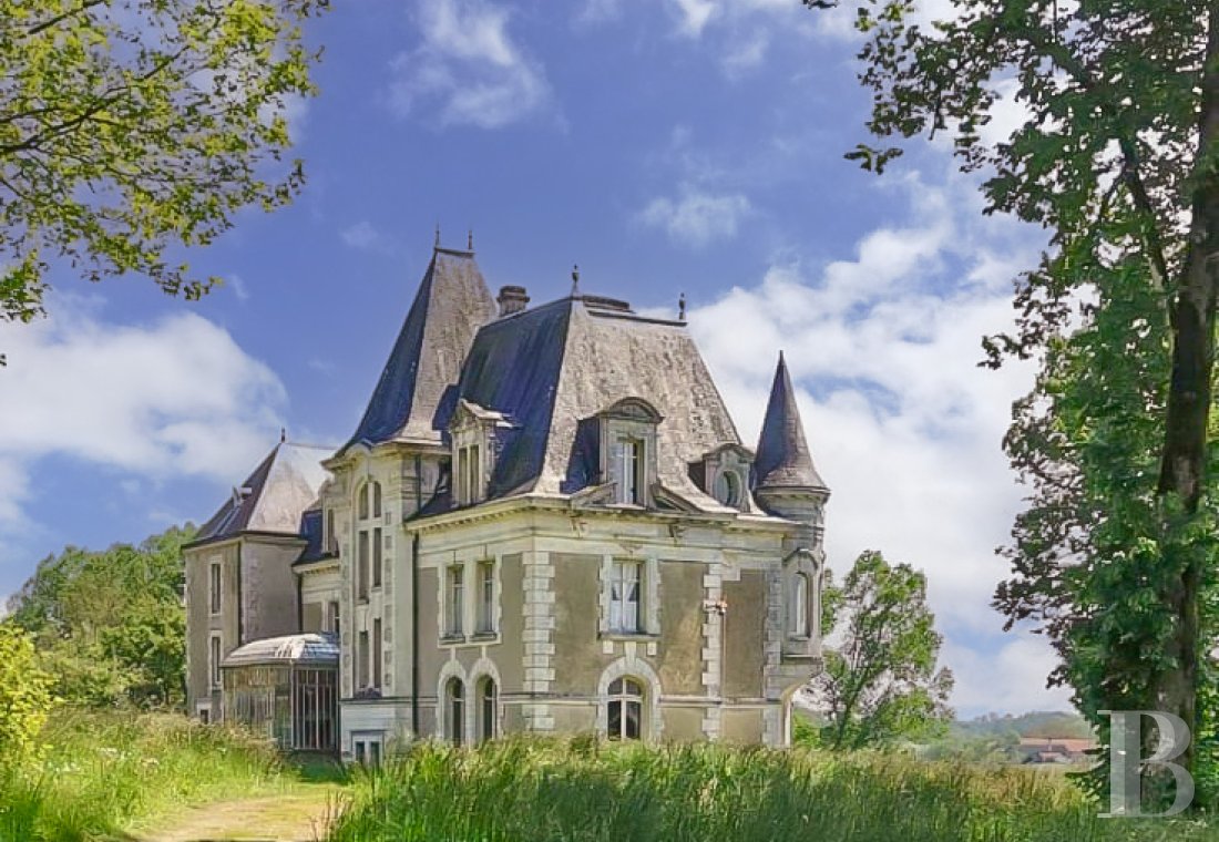 chateaux for sale France poitou charentes   - 2