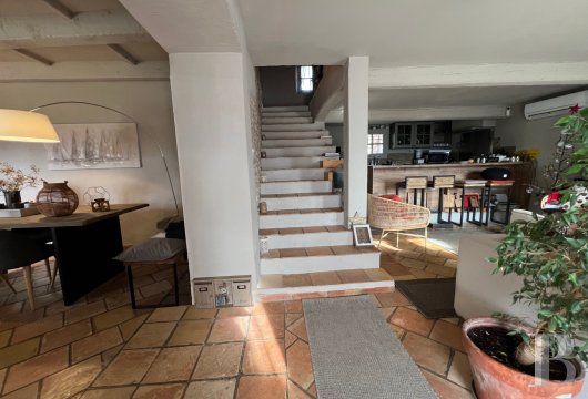 mas a vendre paca   - 4