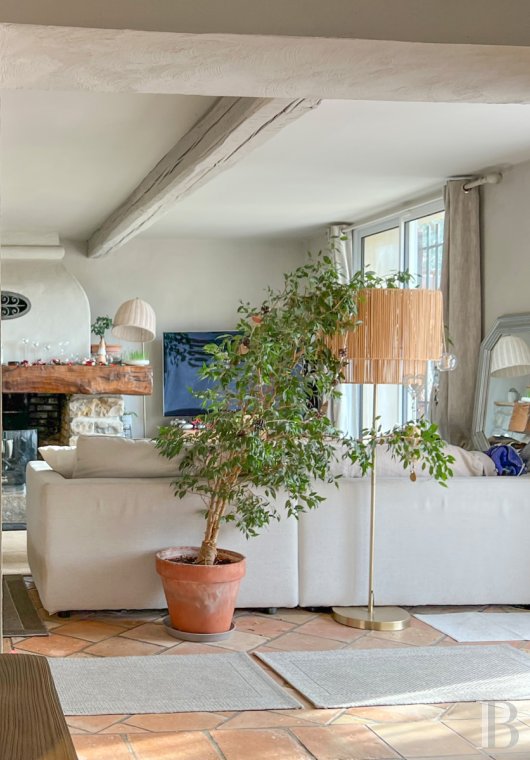 mas a vendre paca   - 5