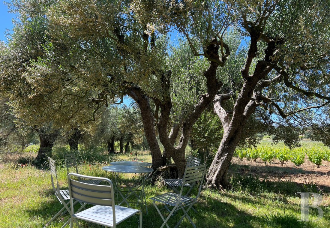 mas a vendre paca   - 8