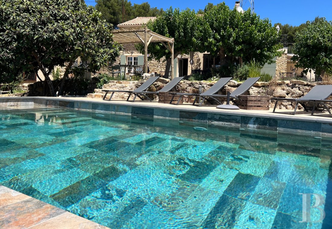 mas a vendre paca   - 2