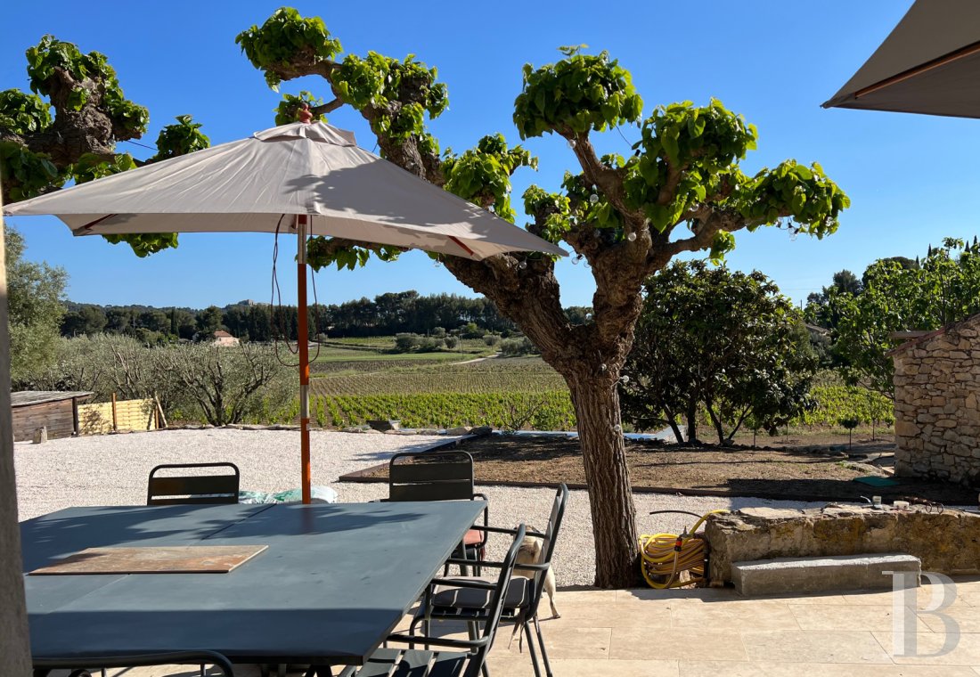 mas a vendre paca   - 7