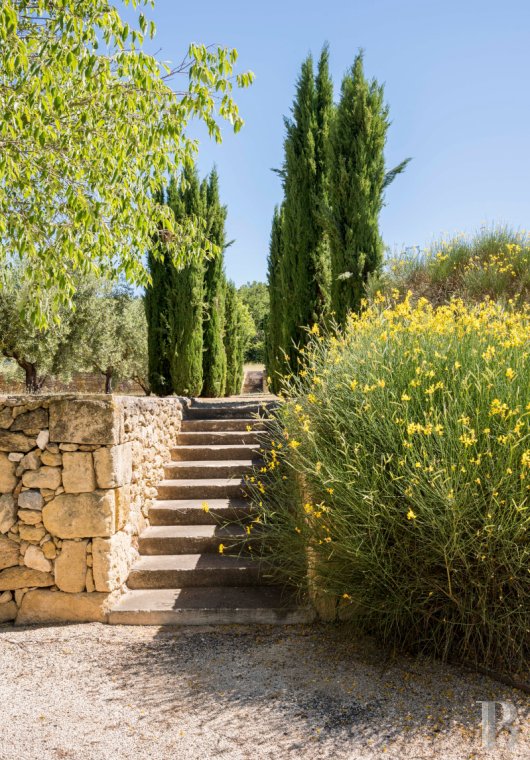 vignobles a vendre paca   - 9