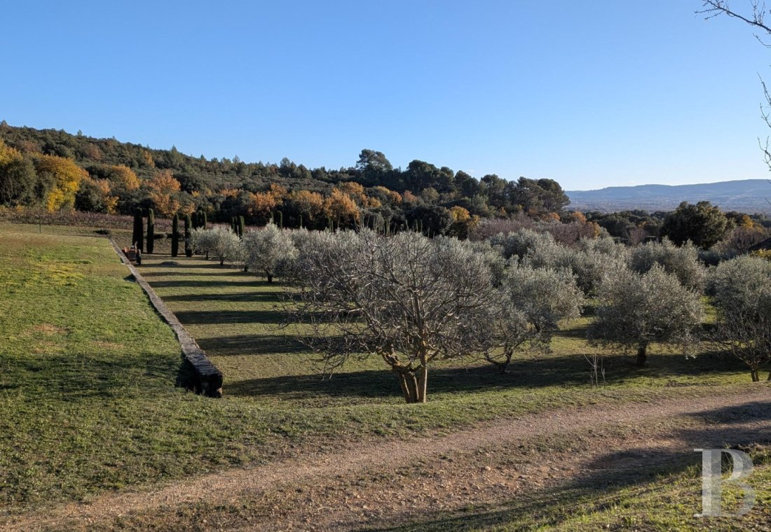 vignobles a vendre paca   - 11