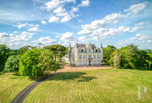 chateaux for sale France pays de loire   - 6