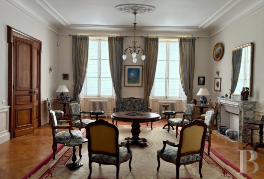 chateaux a vendre pays de loire   - 7