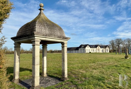 chateaux a vendre pays de loire   - 20