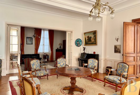 chateaux a vendre pays de loire   - 9