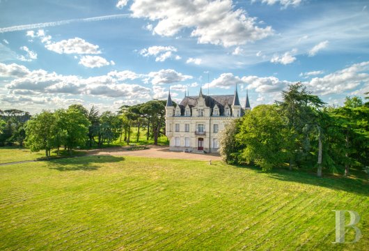 chateaux for sale France pays de loire   - 4