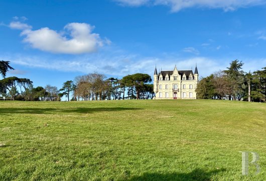 chateaux a vendre pays de loire   - 4