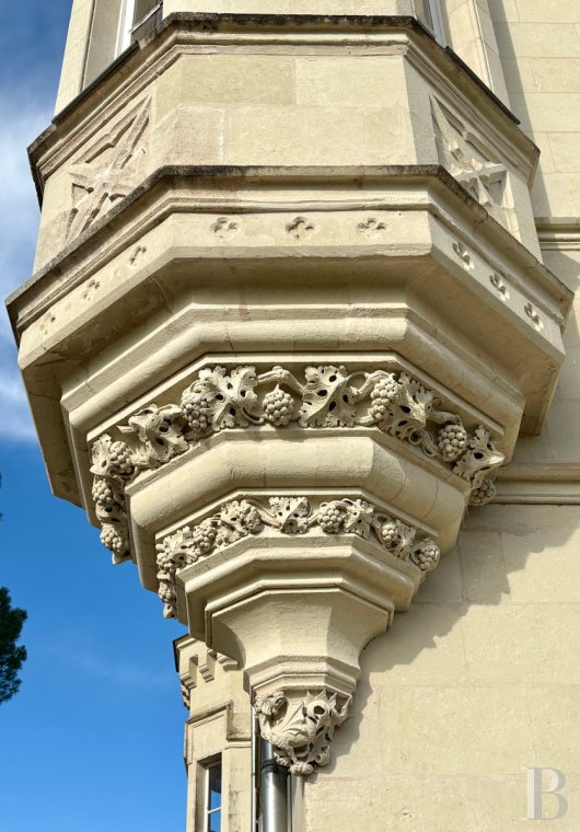 chateaux a vendre pays de loire   - 3