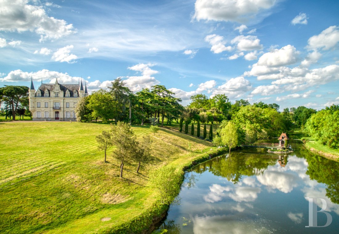 chateaux for sale France pays de loire   - 21
