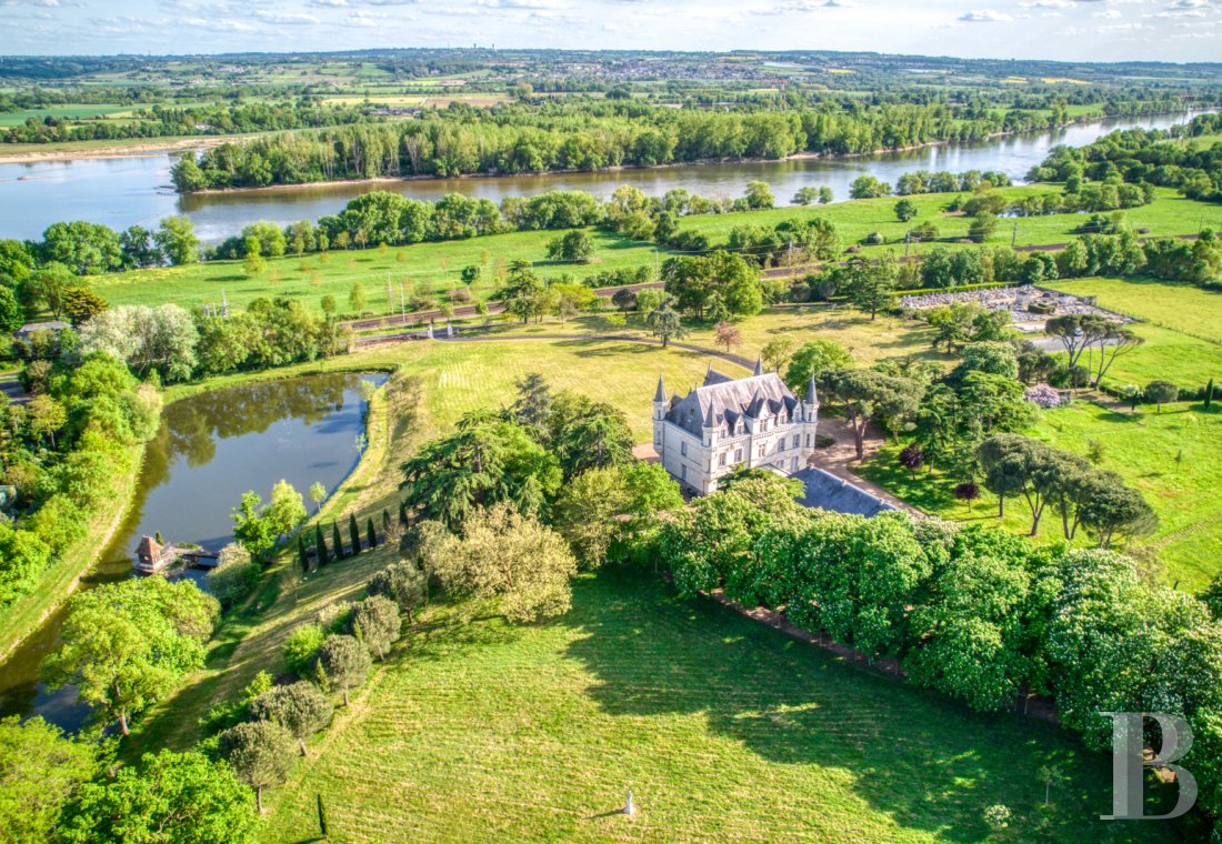 chateaux for sale France pays de loire   - 1
