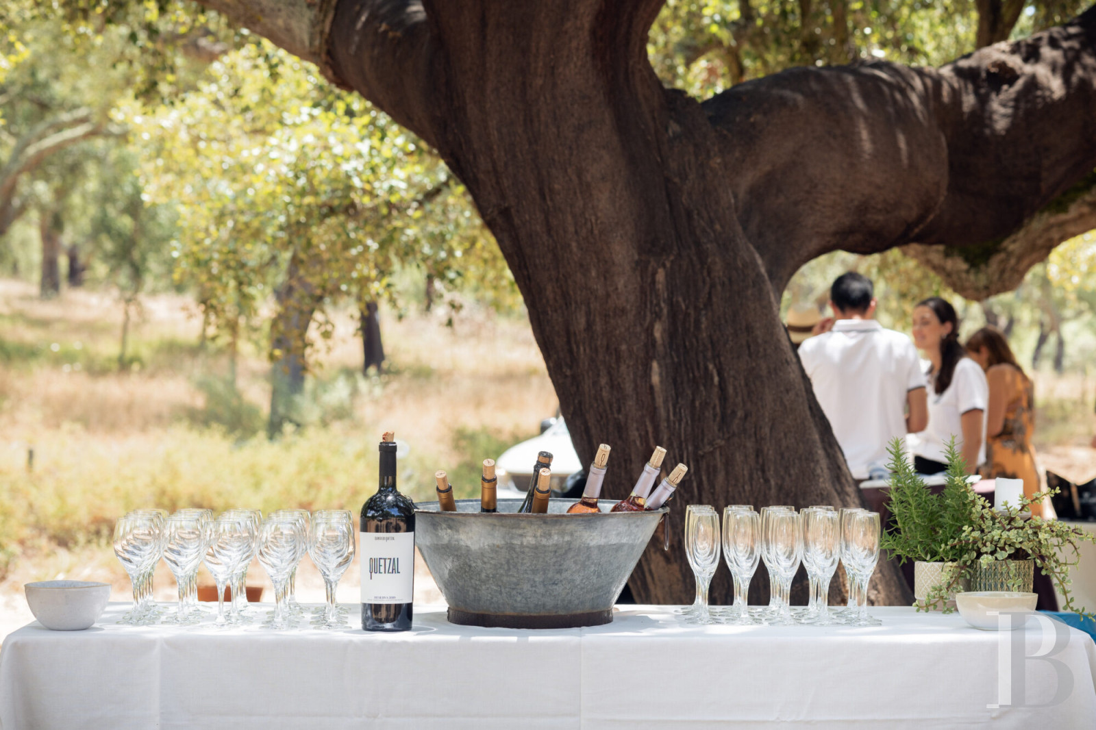 Dans l’Alentejo, près d’Évora,  un ancien monastère jésuite des 16e et 17e siècles - photo  n°30