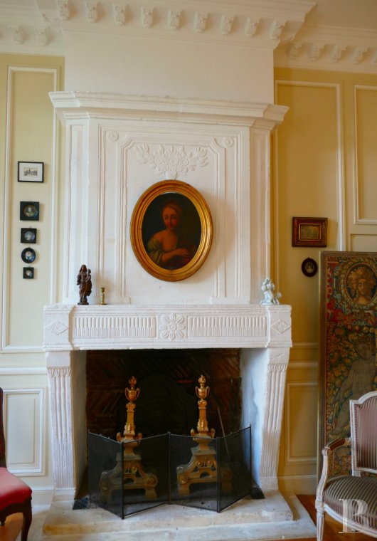 mansion houses for sale France poitou charentes   - 5