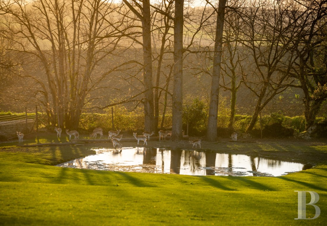 proprietes a vendre midi pyrenees   - 20