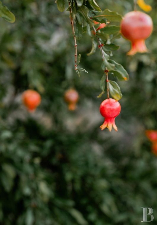 Dans le Gard, entre Nîmes et Montpellier,  une maison de village surplombant la vallée de la Vaunage - photo  n°3