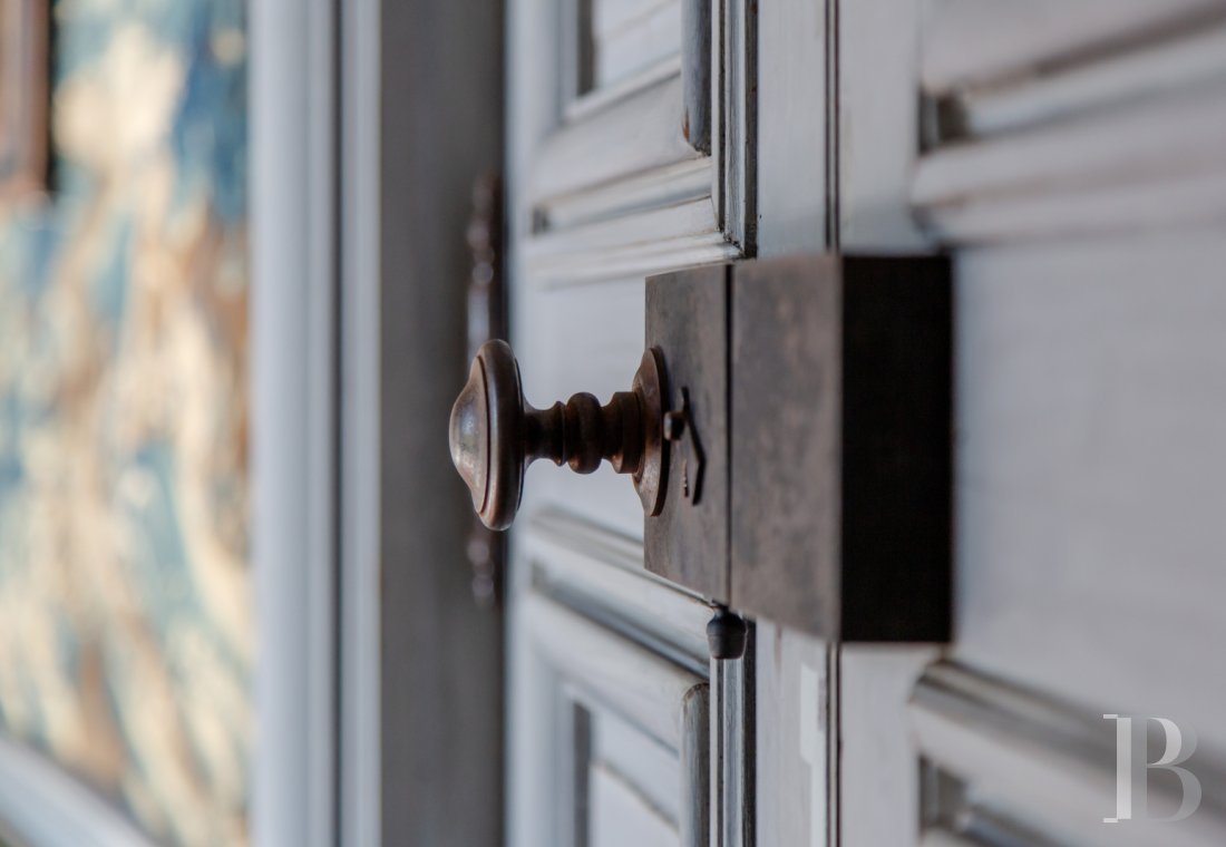 chateaux a vendre ile de france   - 1