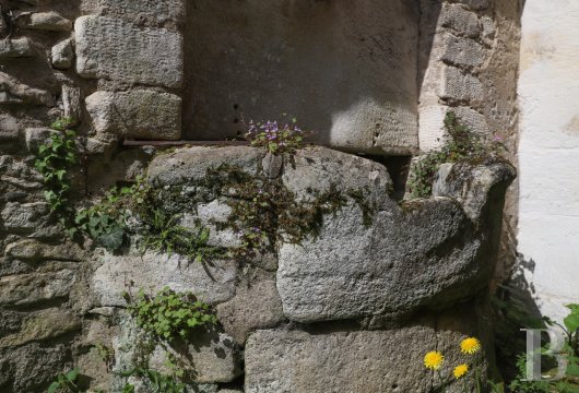 character properties France burgundy   - 16