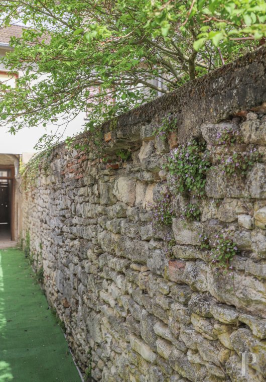 character properties France burgundy   - 14