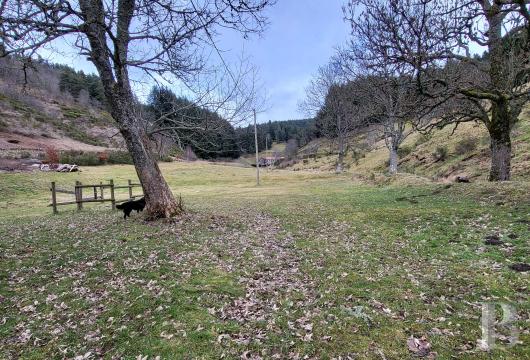 demeures et maisons a vendre france auvergne   - 10