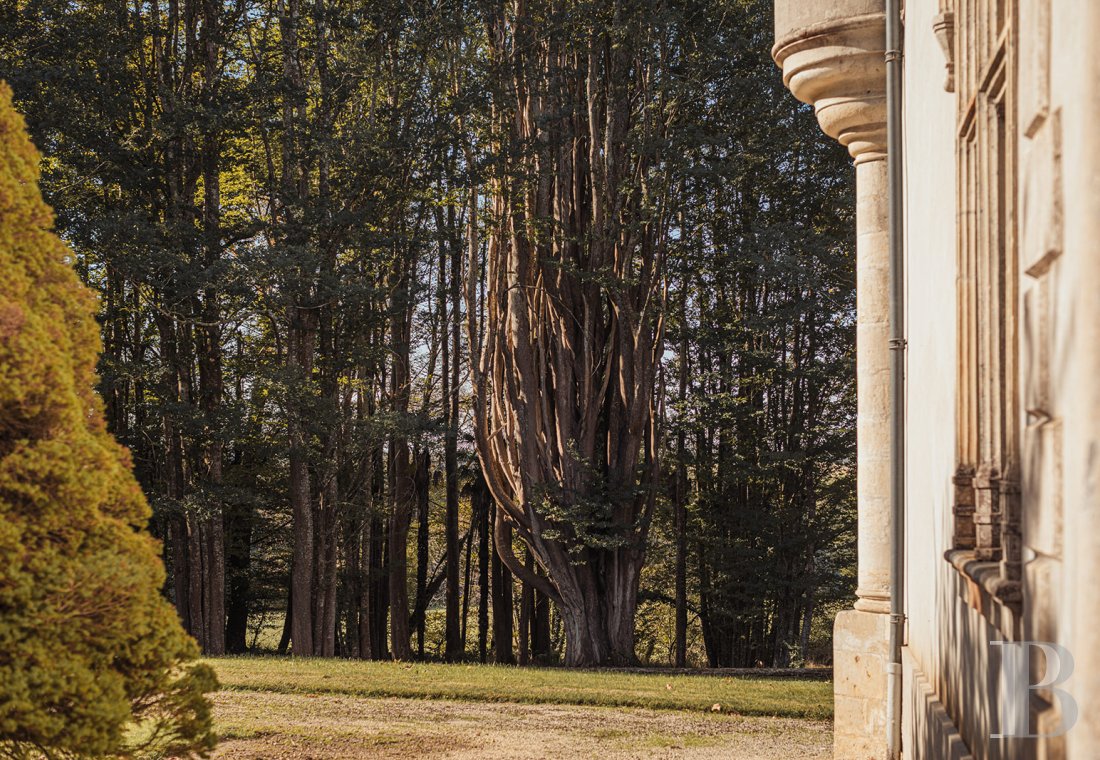 Dans les Landes, au nord-est de Mont-de-Marsan, un château de famille qui a traversé les siècles - photo  n°37
