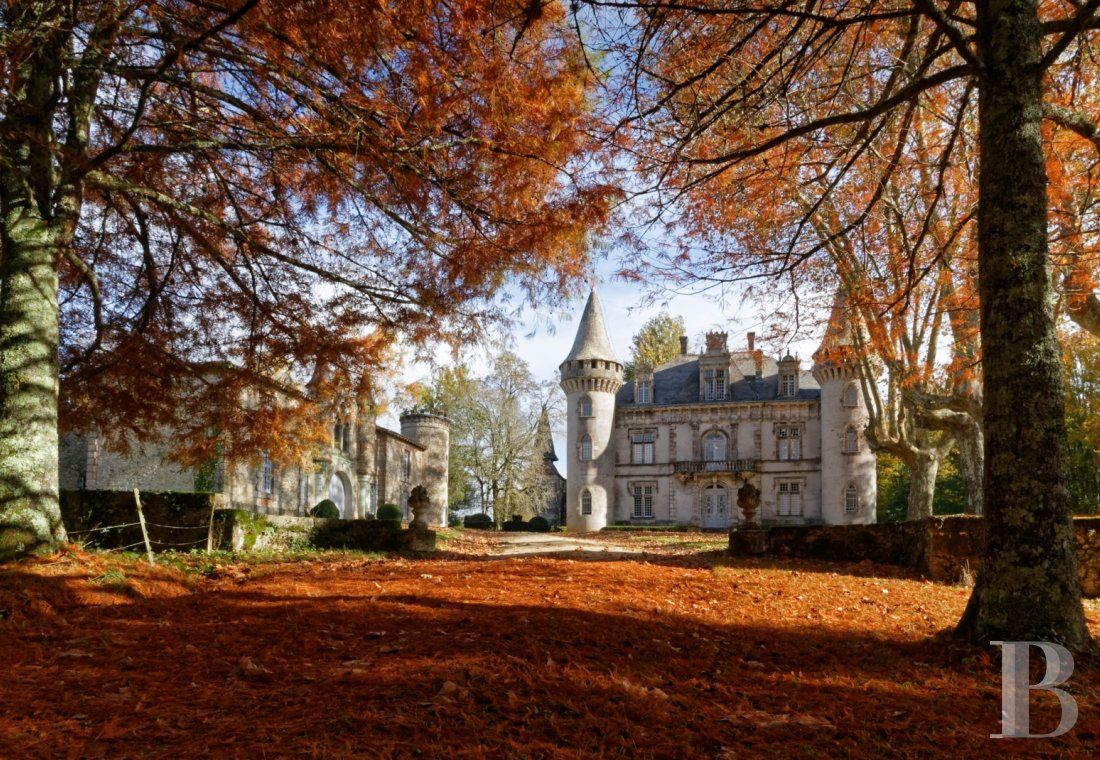 Dans les Landes, au nord-est de Mont-de-Marsan, un château de famille qui a traversé les siècles - photo  n°39