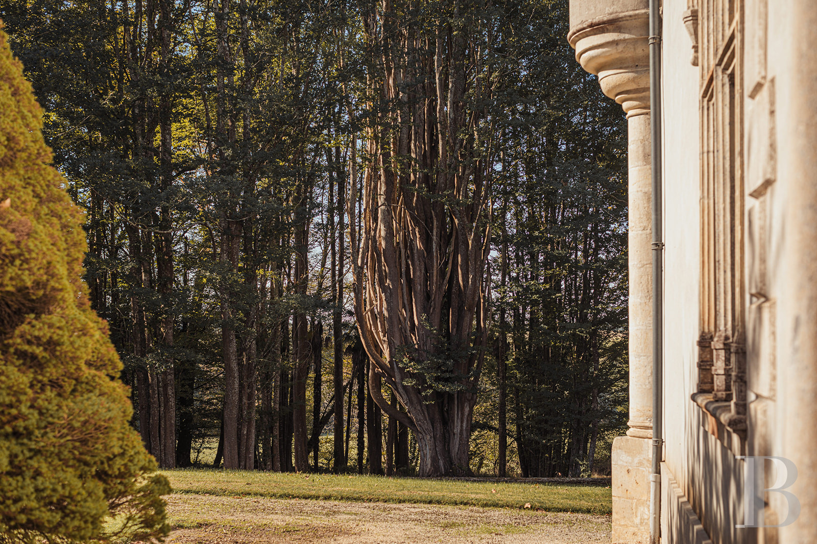 Dans les Landes, au nord-est de Mont-de-Marsan, un château de famille qui a traversé les siècles - photo  n°37