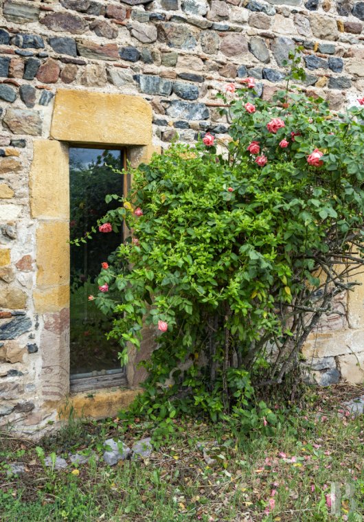 character properties France rhones alps   - 18