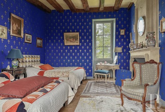 France mansions for sale pays de loire   - 7