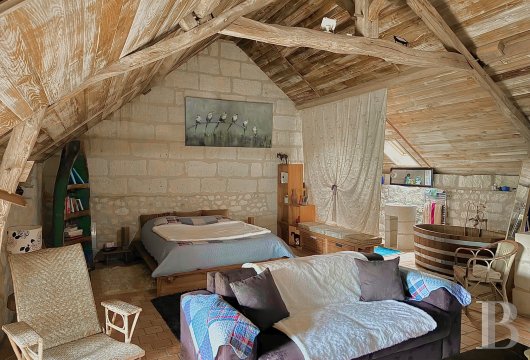 France mansions for sale pays de loire   - 11