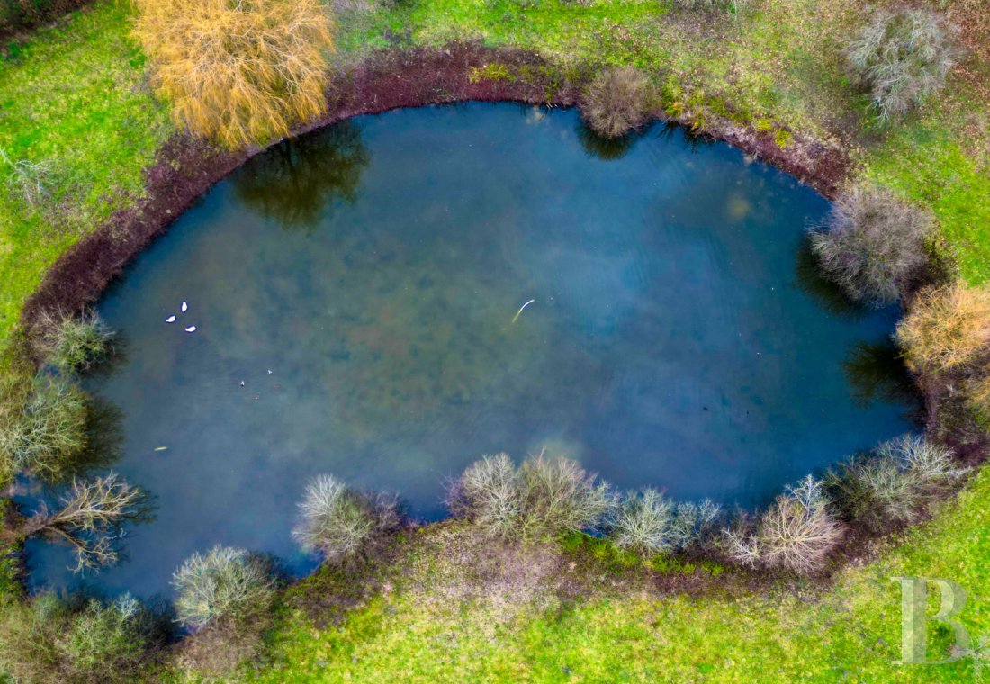 France mansions for sale pays de loire   - 15