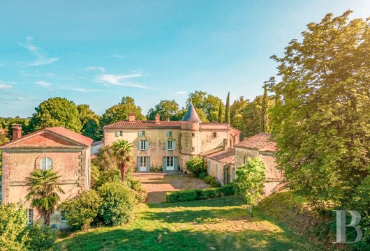 aquitaine - Proche de Bordeaux, dans un village des Côtes de Bourg,  un château médiéval reconstruit au 19e s. et son domaine viticole historique