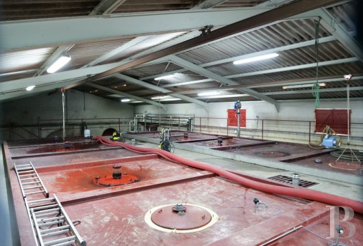 chateaux a vendre aquitaine   - 13