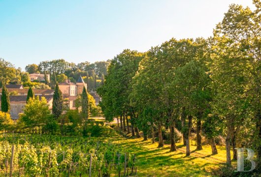 chateaux a vendre aquitaine   - 25