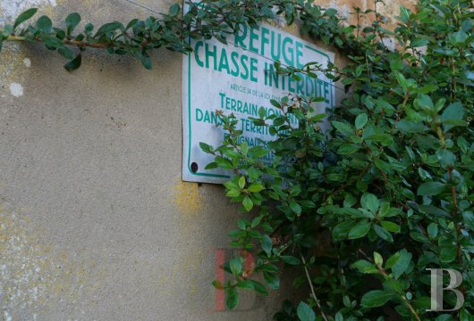 chateaux a vendre aquitaine   - 21